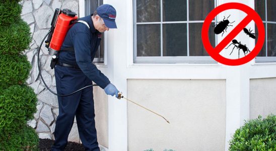 Boztepe Hamam Böceği İlaçlama böcek ilaçlama ve haşere kontrolü — ilaclama-tr.com